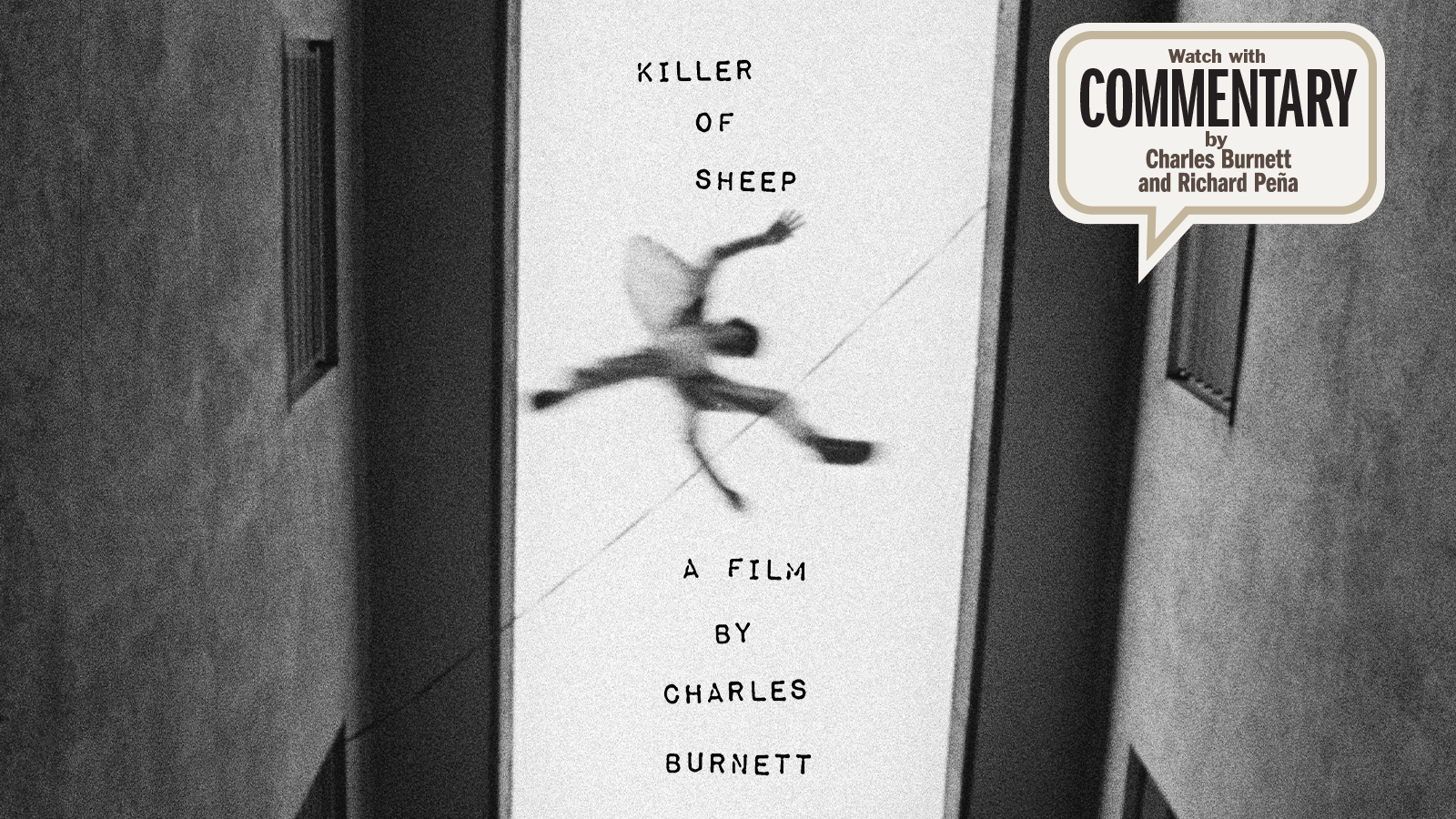 KILLER OF SHEEP Commentary