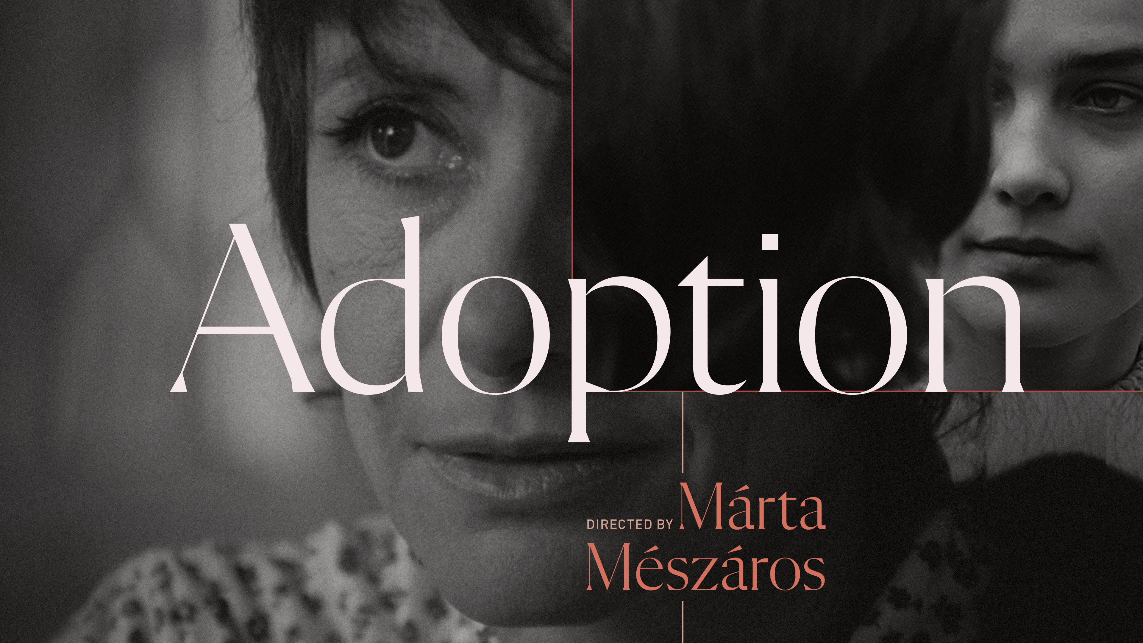 Adoption