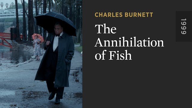 The Annihilation of Fish