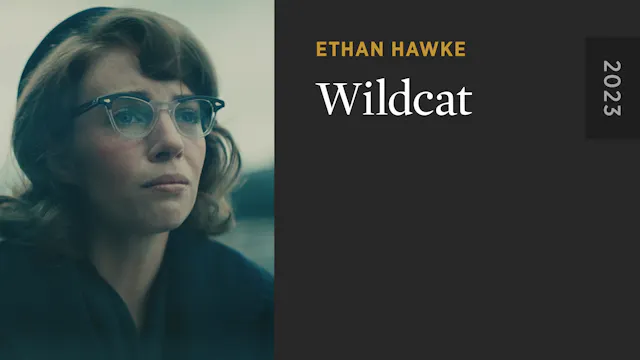 Wildcat