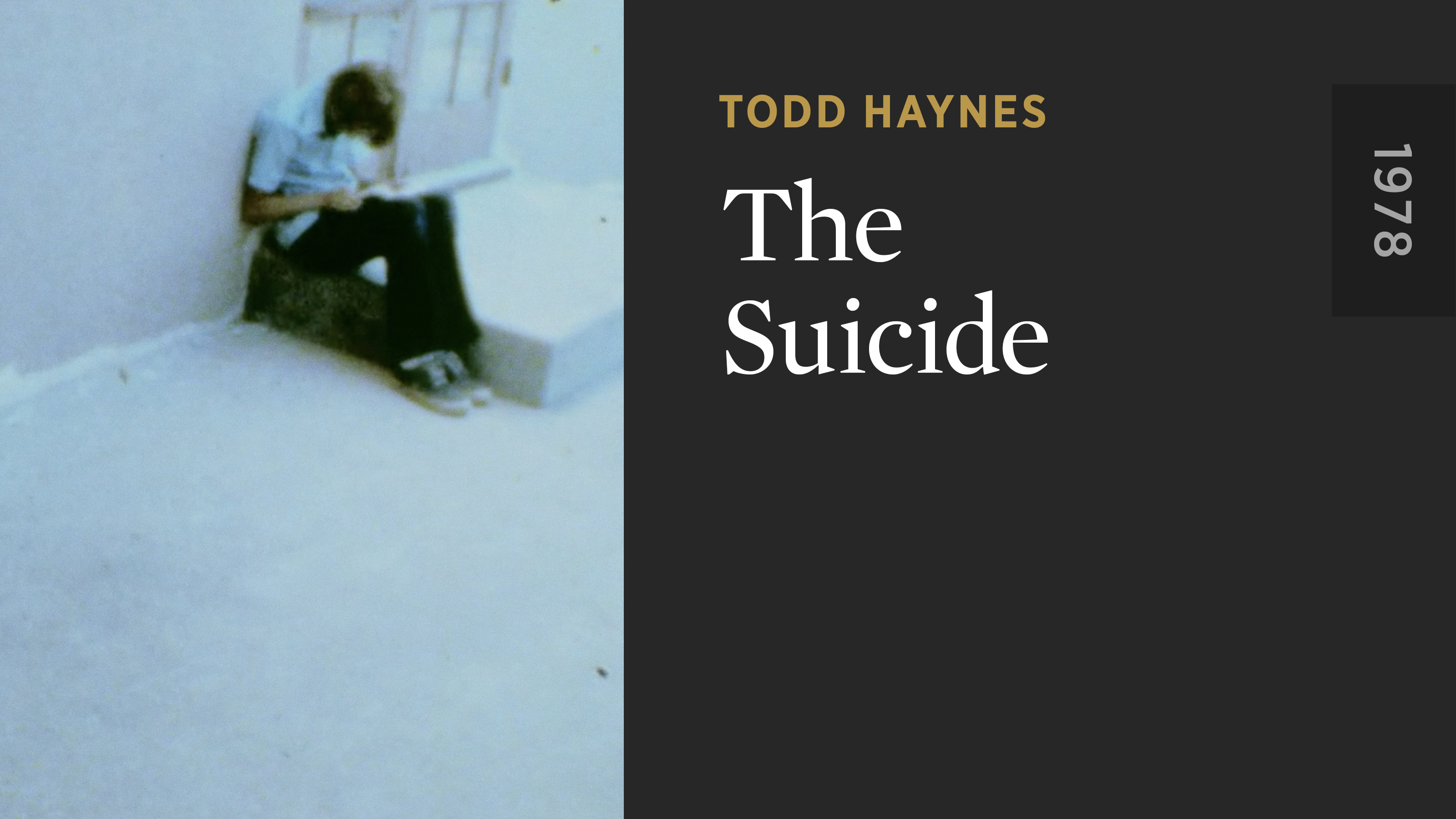 The Suicide