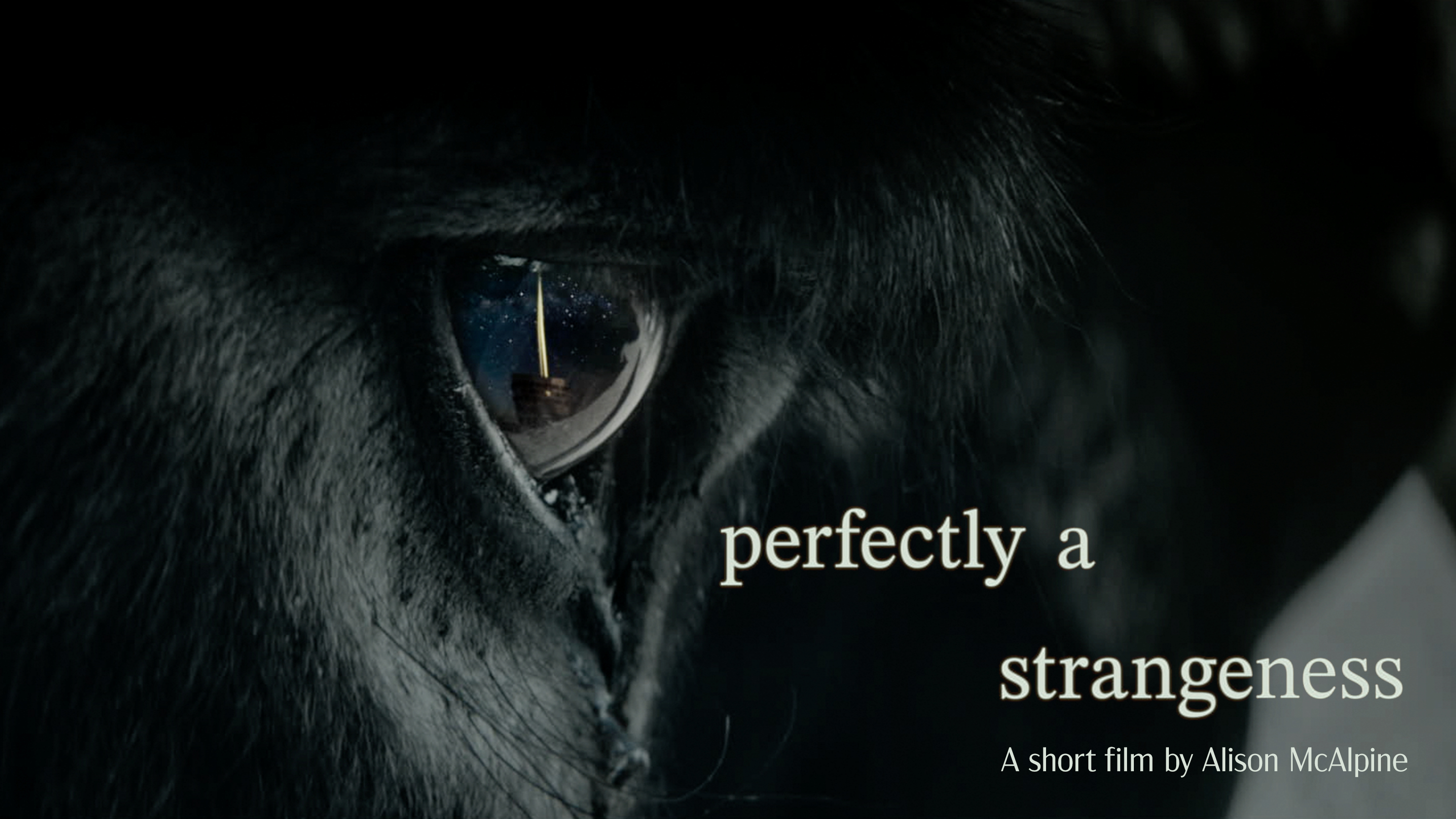 perfectly a strangeness