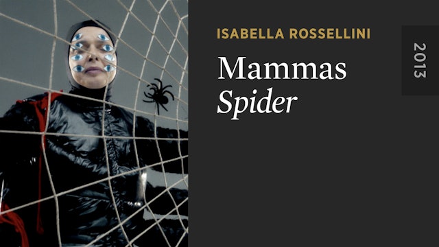 MAMMAS: Spider