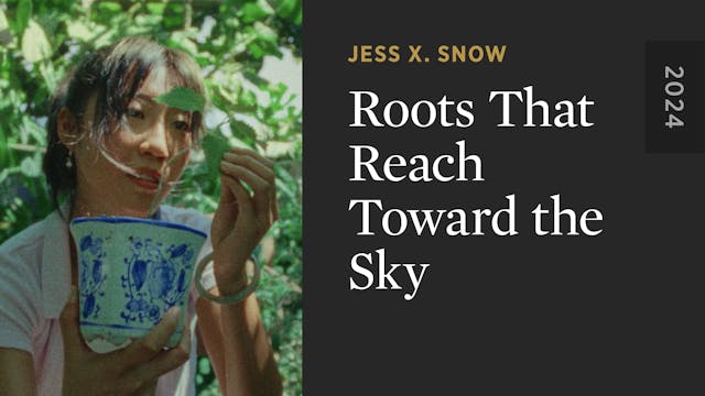 Roots That Reach Toward the Sky