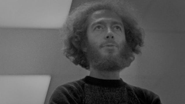 Remarks by Hollis Frampton on SURFACE...