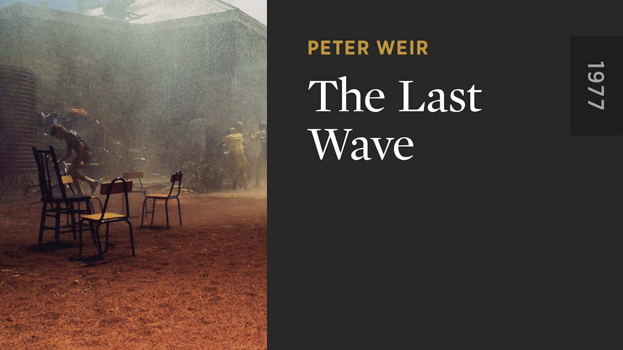 the last wave book review