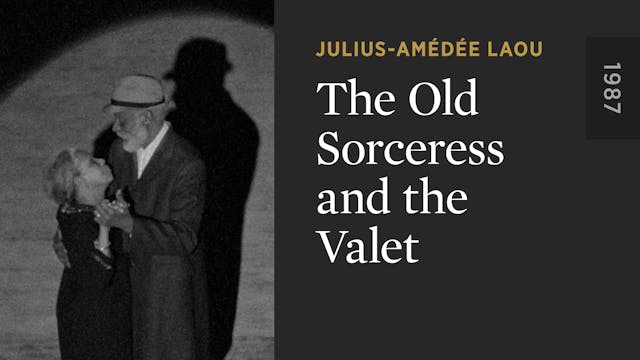 The Old Sorceress and the Valet