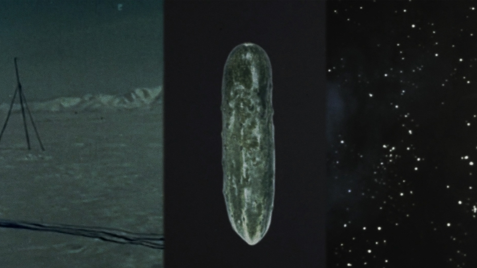 Evan Johnson and Guy Maddin Cine-Essays: Cold