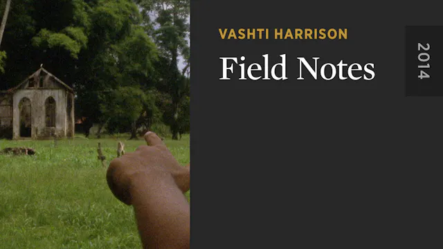 Field Notes