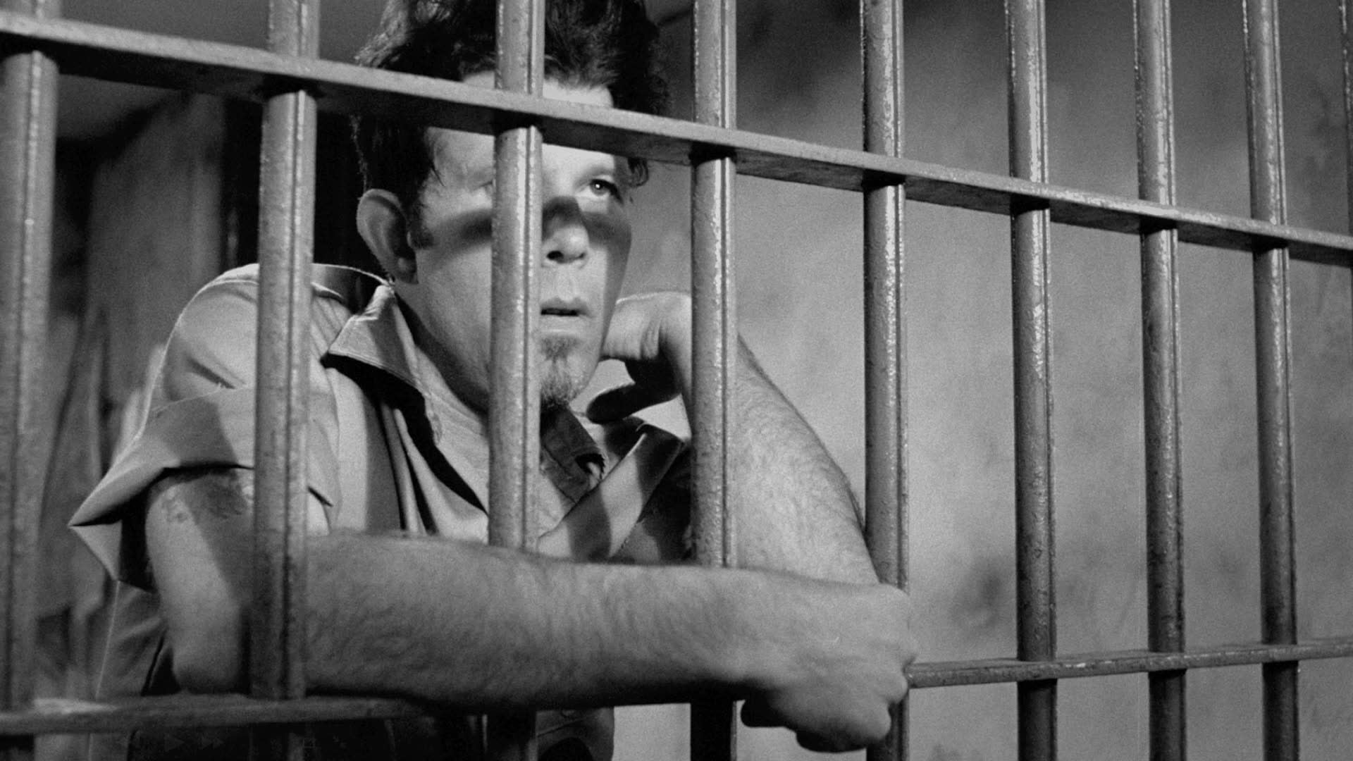 Phone Calls: Tom Waits