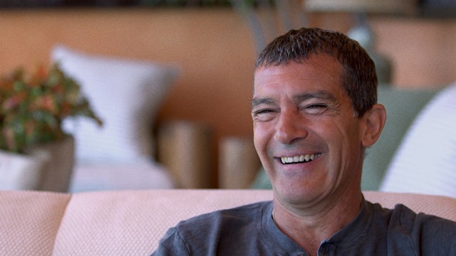 Untied!: Reflections on TIE ME UP! TIE ME DOWN!