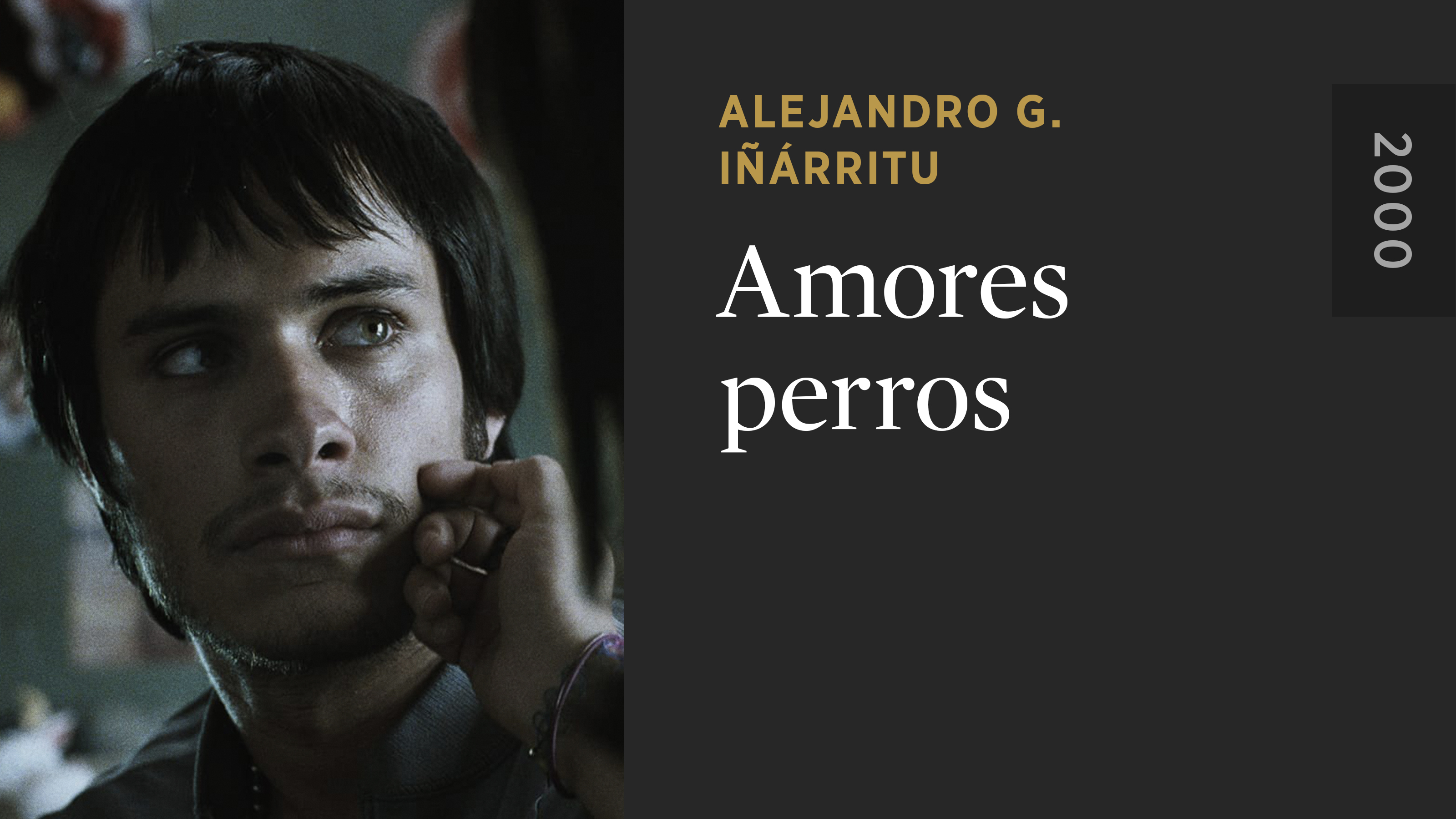 streaming amores perros