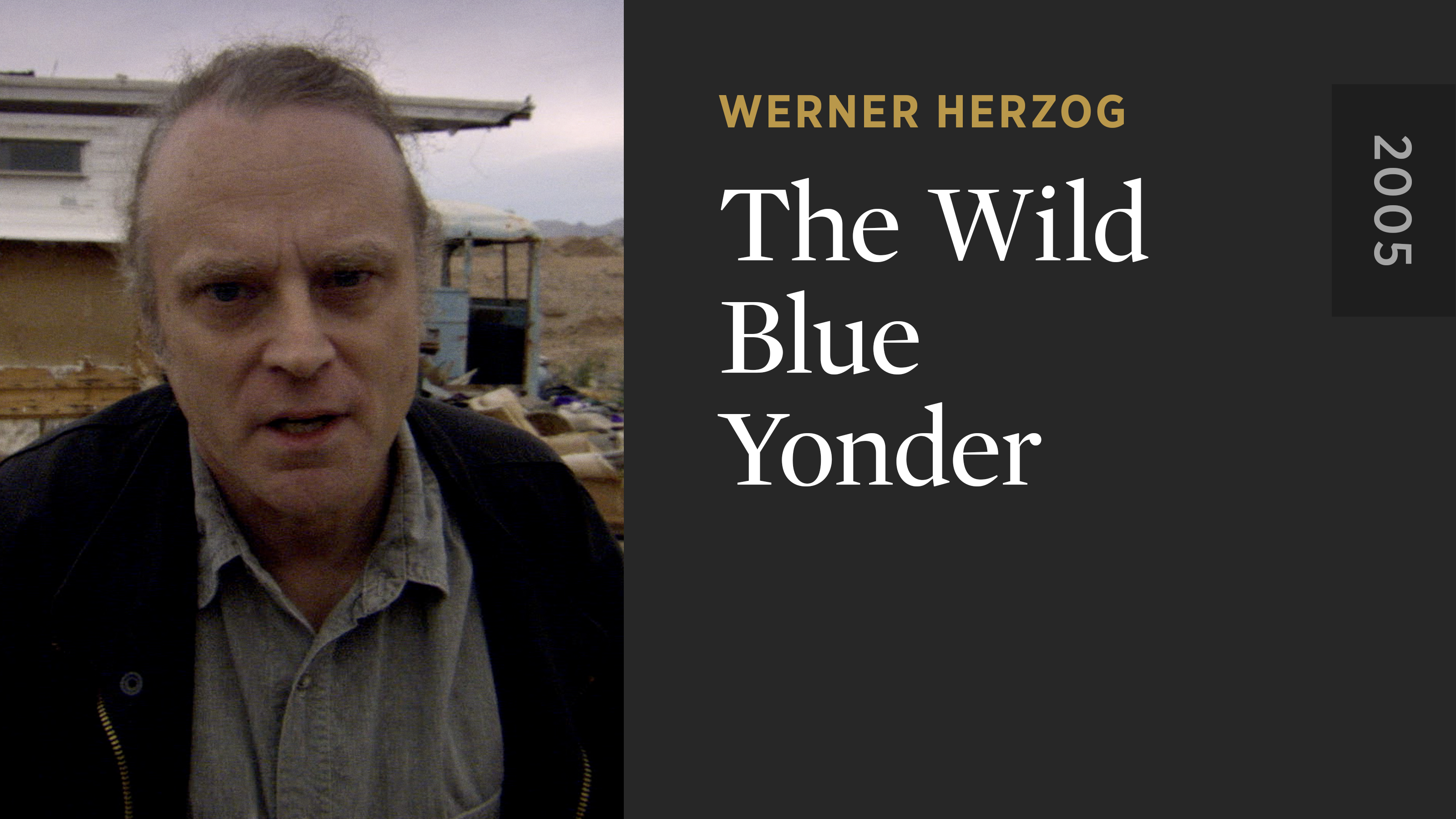 The Wild Blue Yonder