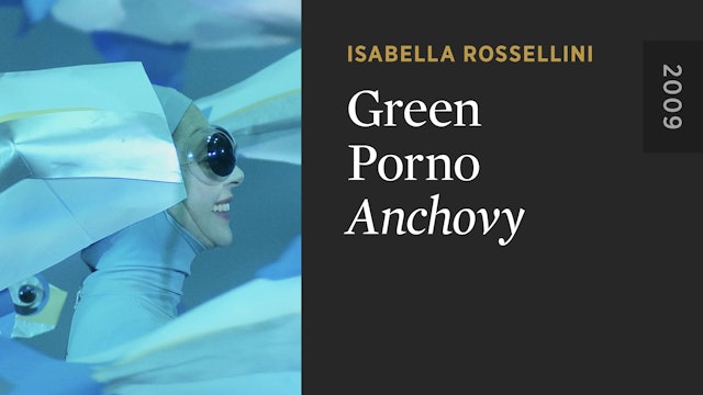 GREEN PORNO: Anchovy