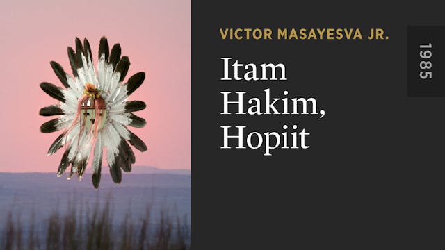 Itam Hakim, Hopiit