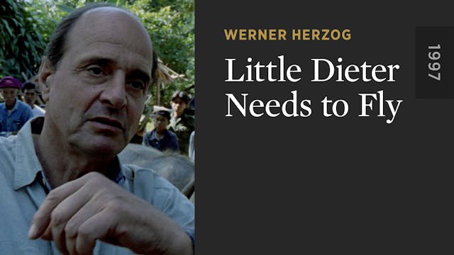 Little Dieter Needs to Fly