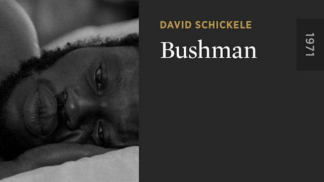 Bushman