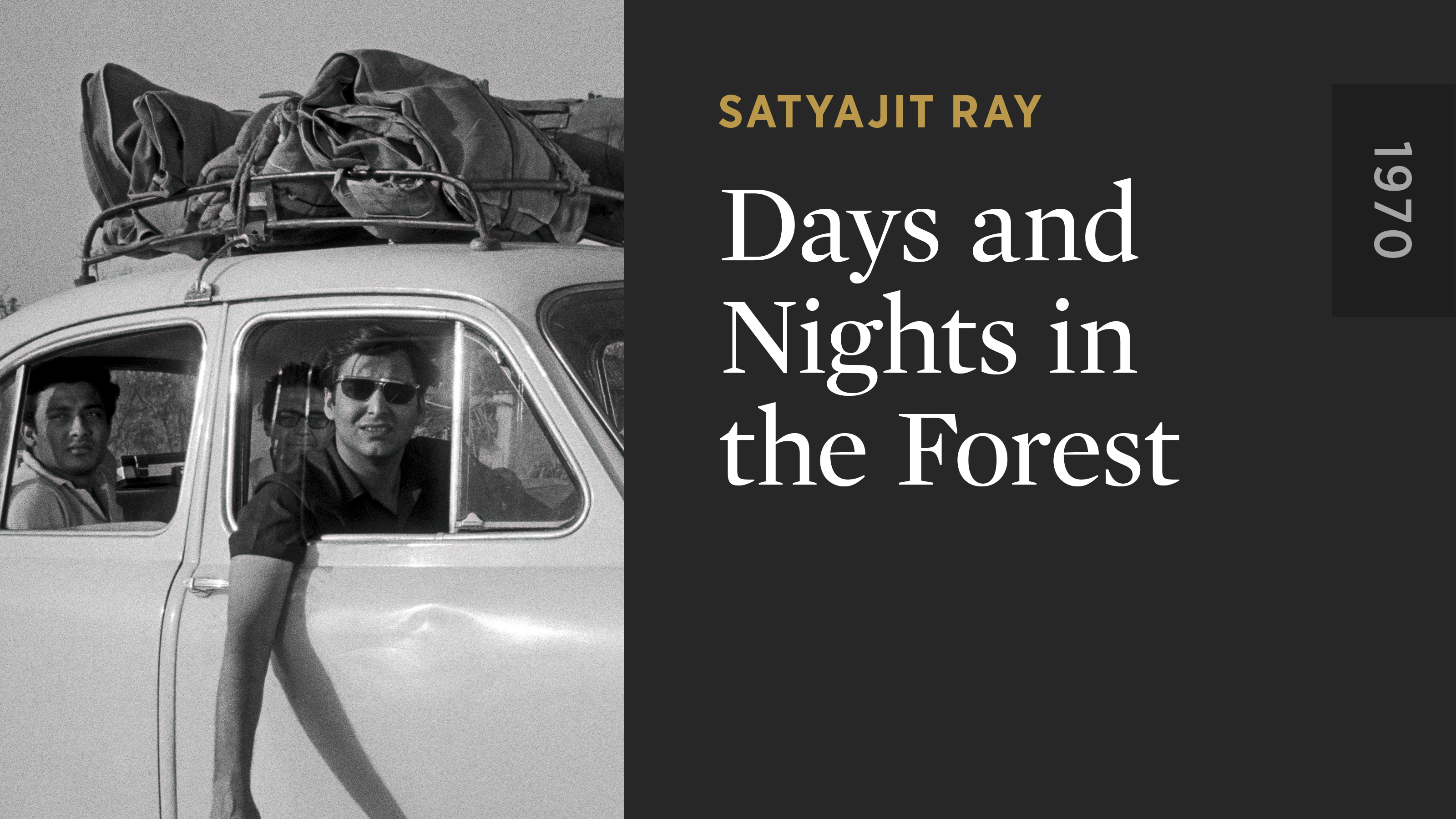 Days and Nights in the Forest