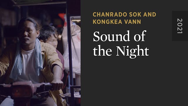 Sound of the Night