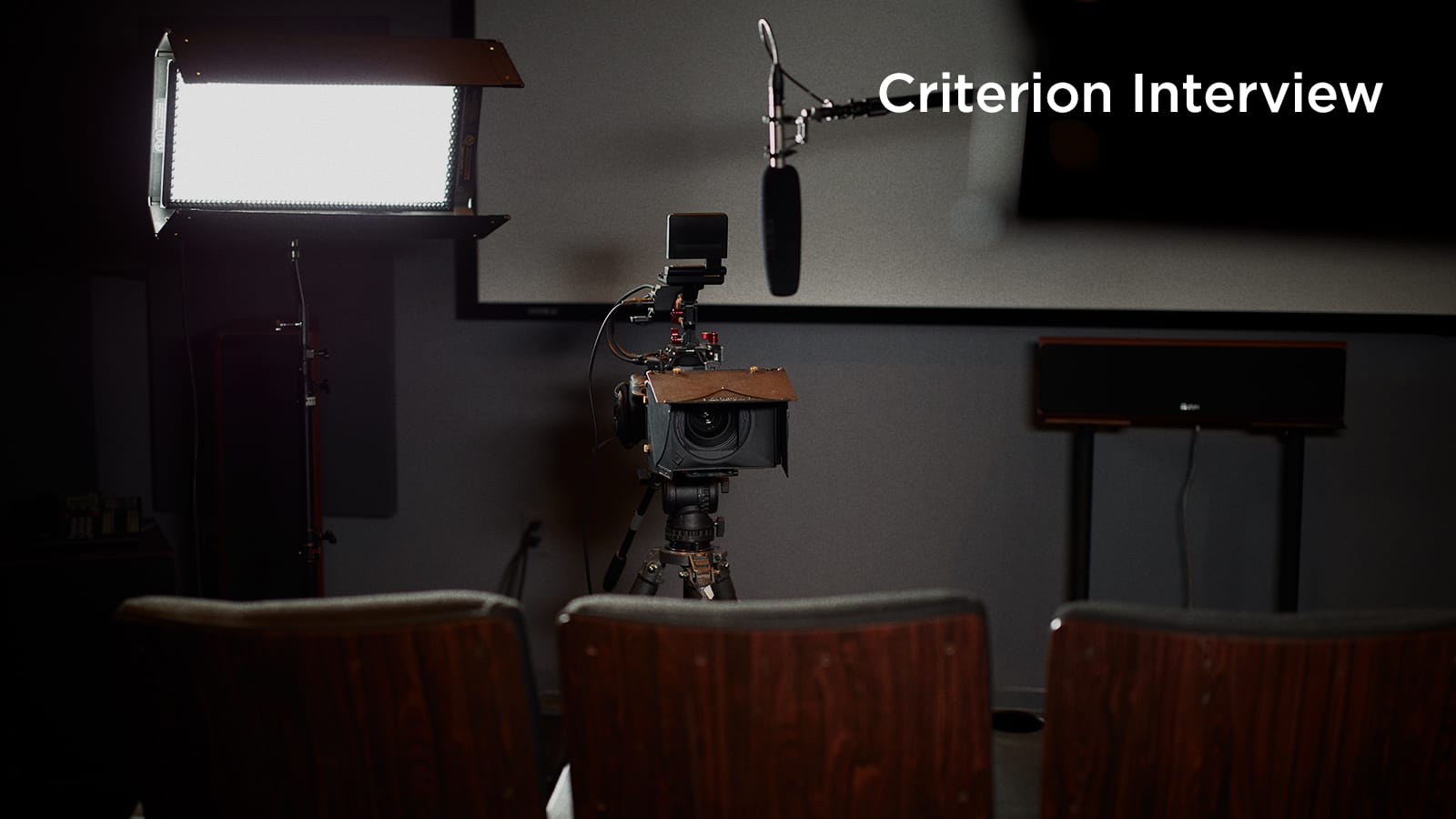 Gunnel Lindblom and Birgitta Pettersson