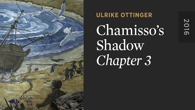 Chamisso’s Shadow: CHAPTER 3