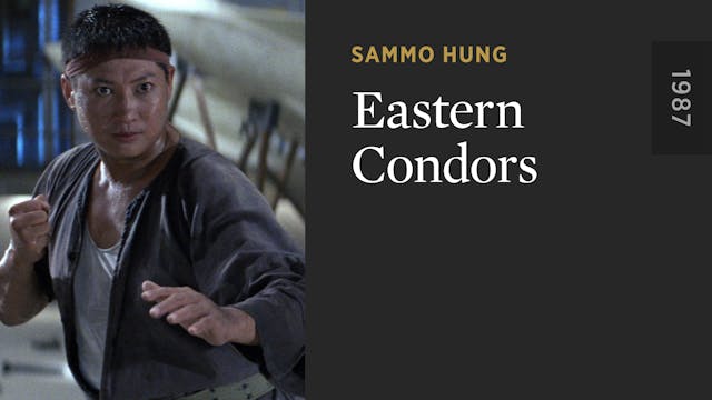 Eastern Condors
