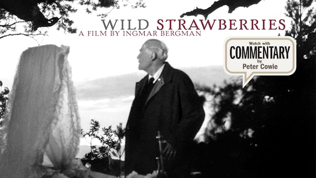 WILD STRAWBERRIES Commentary