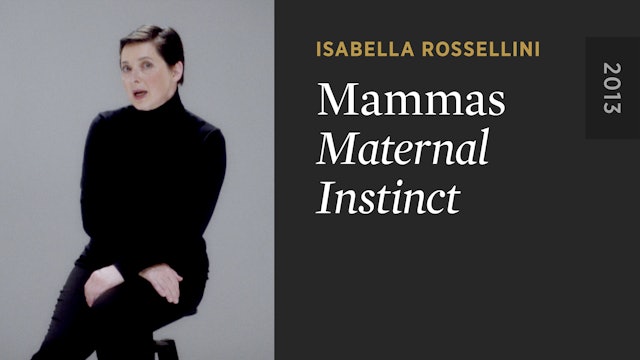 MAMMAS: Maternal Instinct