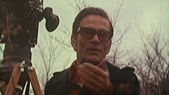 Pier Paolo Pasolini and the Form of the City