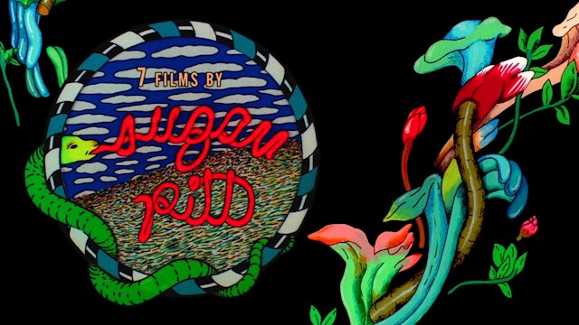 7 Films by Suzan Pitt