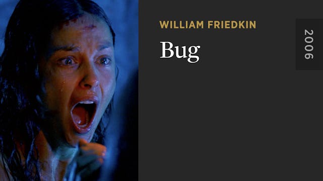 Bug