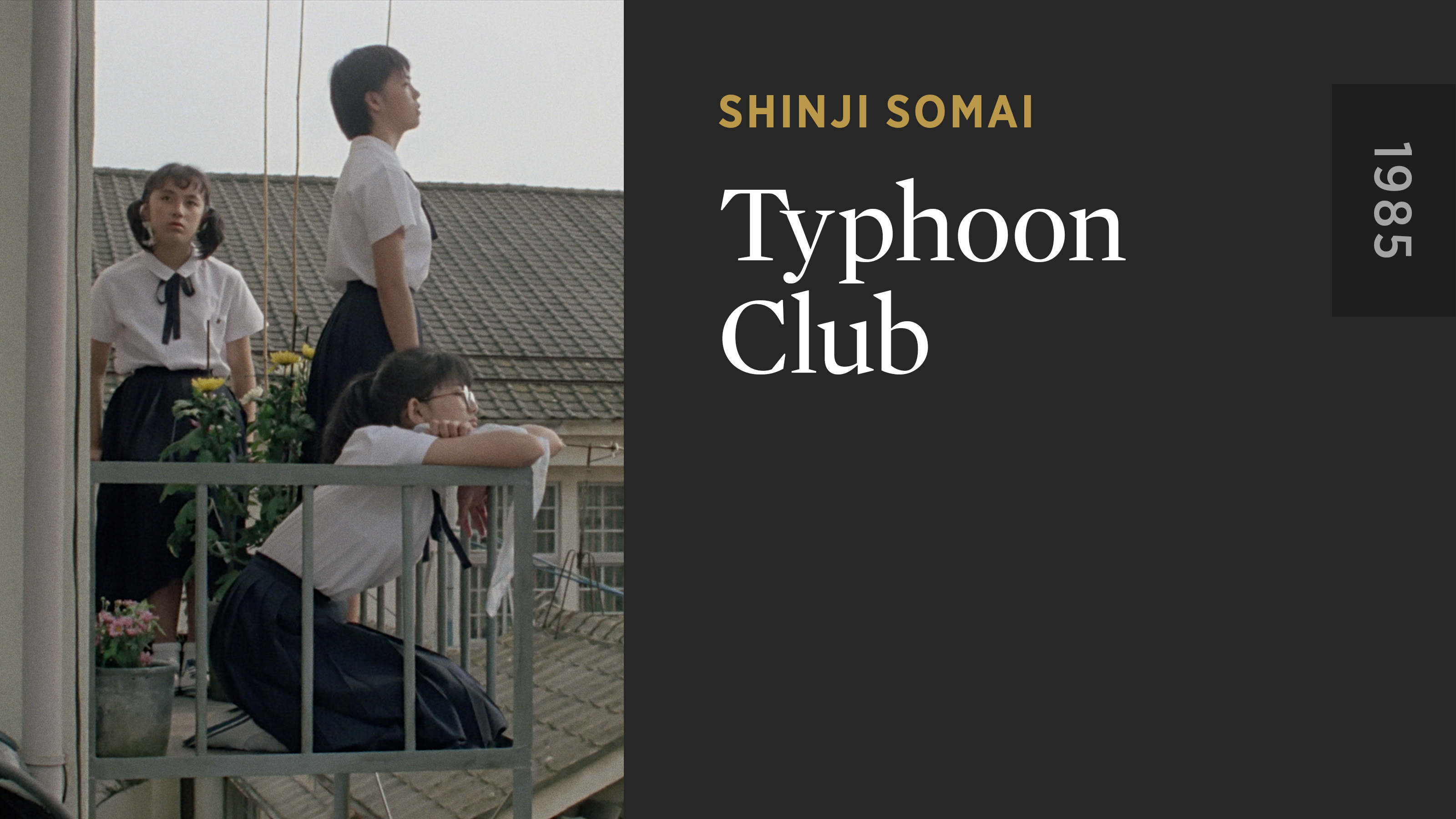 Typhoon Club