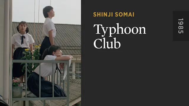Typhoon Club