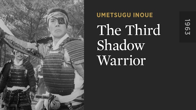 The Third Shadow Warrior