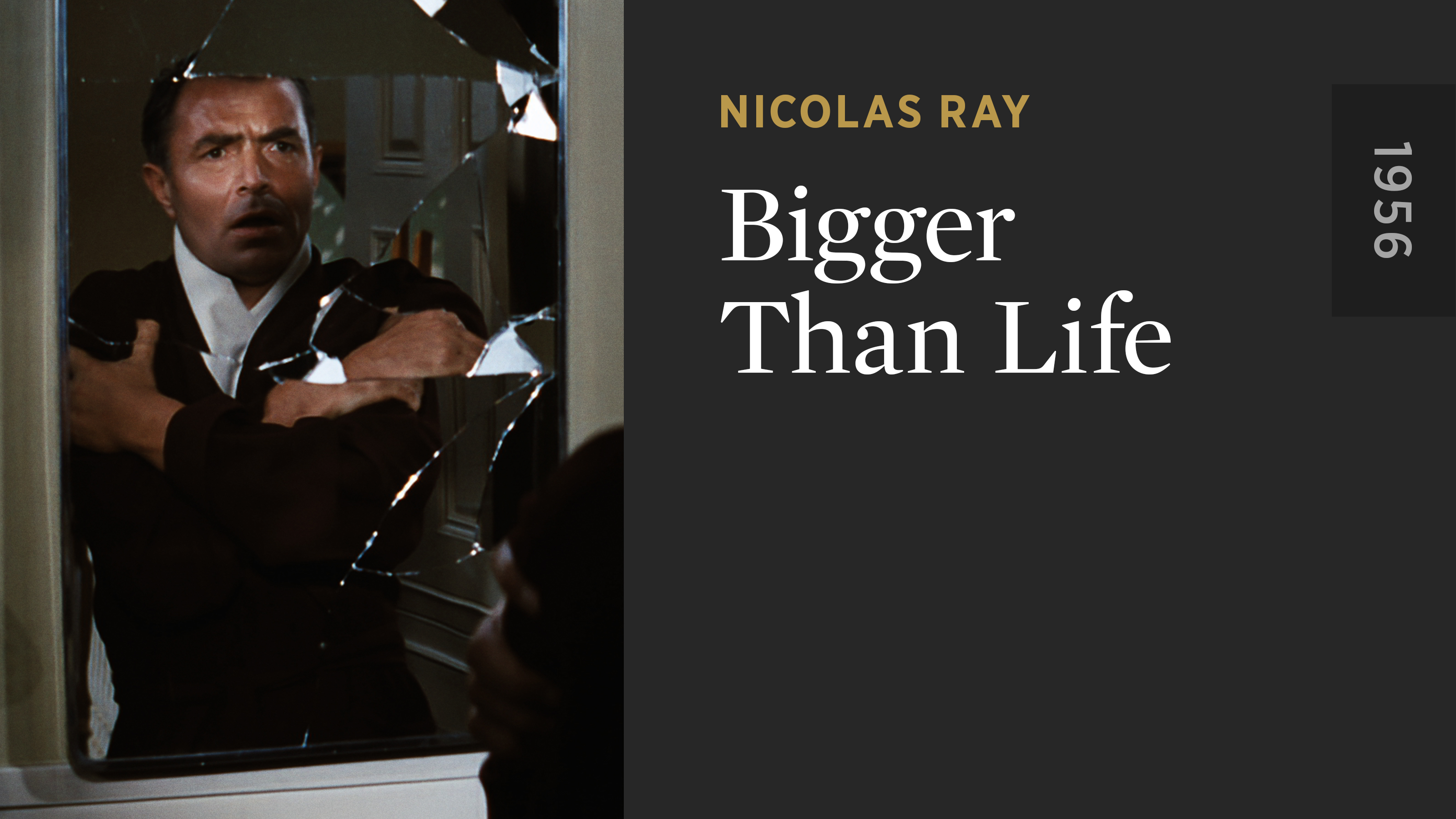 Bigger Than Life