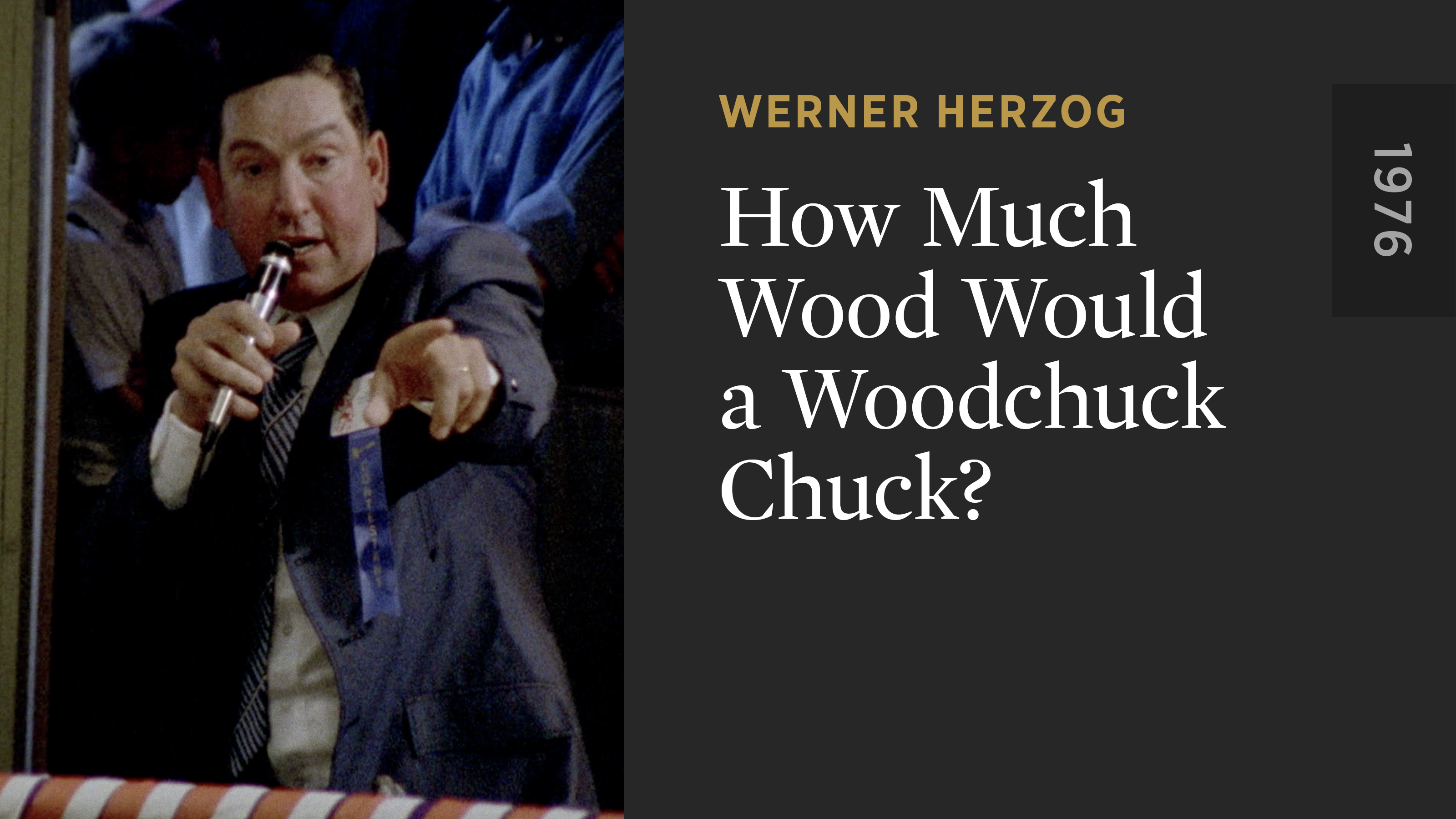 How Much Wood Would a Woodchuck Chuck?