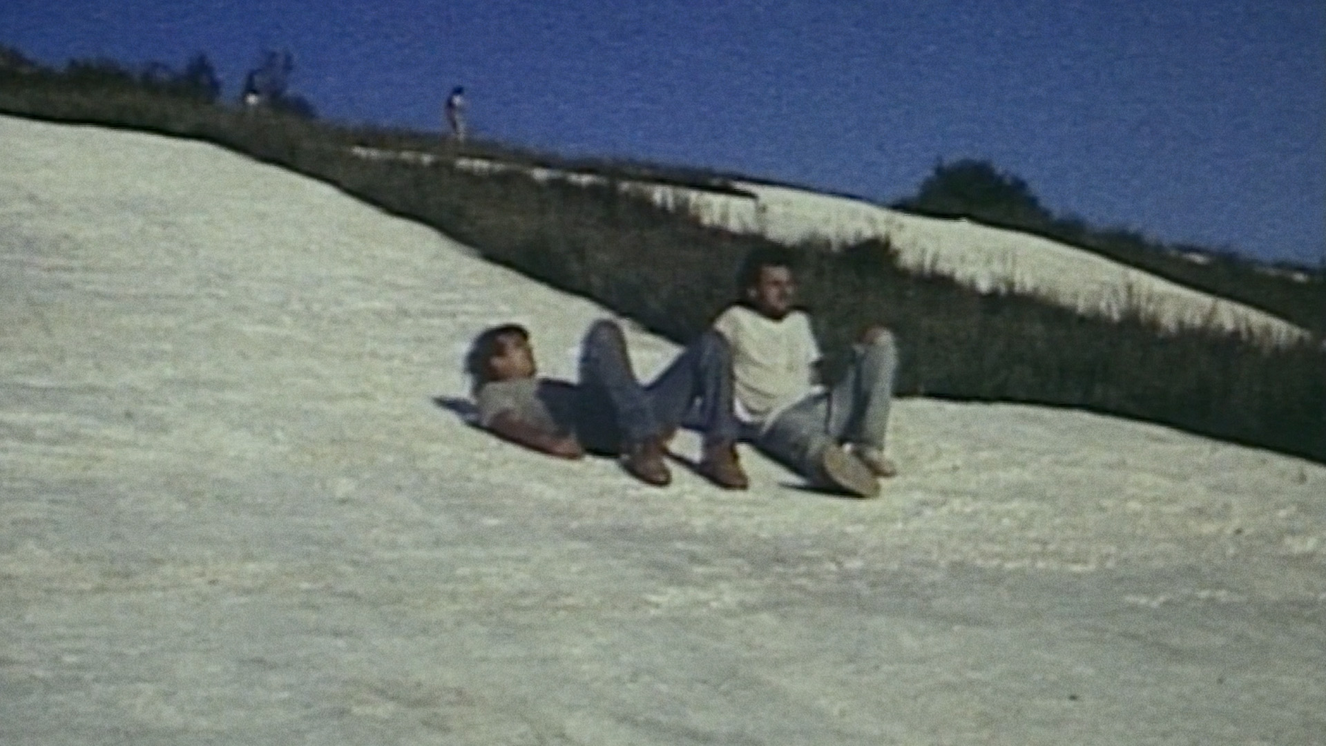 IT’S IMPOSSIBLE TO LEARN TO PLOW BY READING BOOKS Commentary