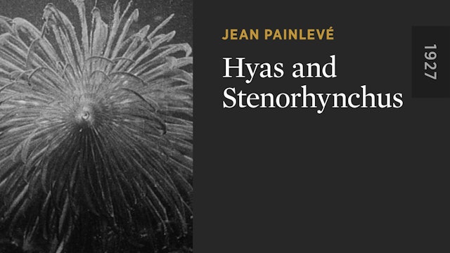 Hyas and Stenorhynchus