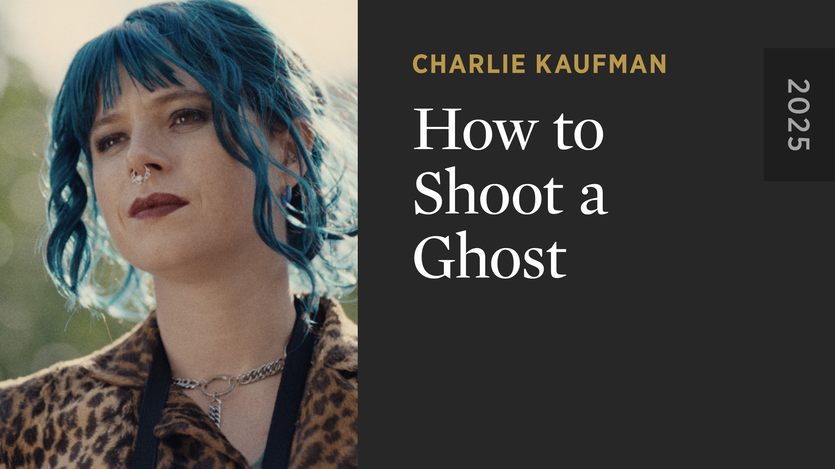 How to Shoot a Ghost