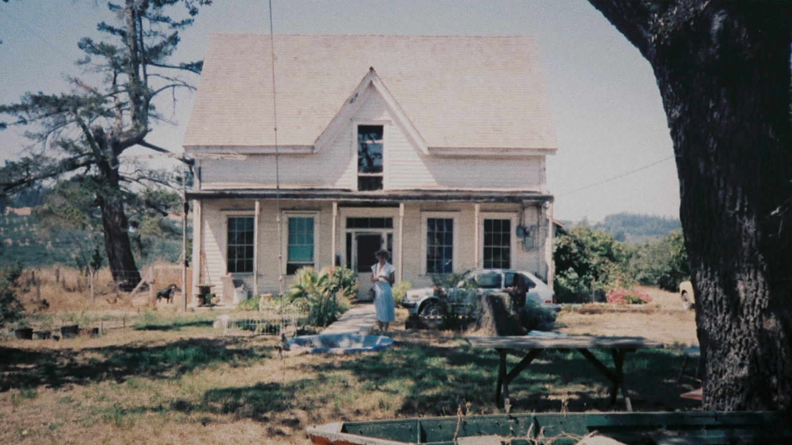 Joyce Chopra on SMOOTH TALK, 1985