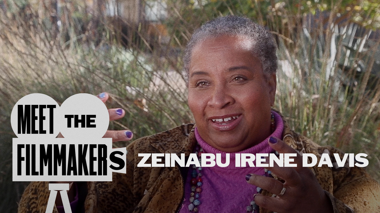 Zeinabu irene Davis Interview