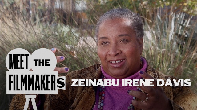 Zeinabu irene Davis Interview