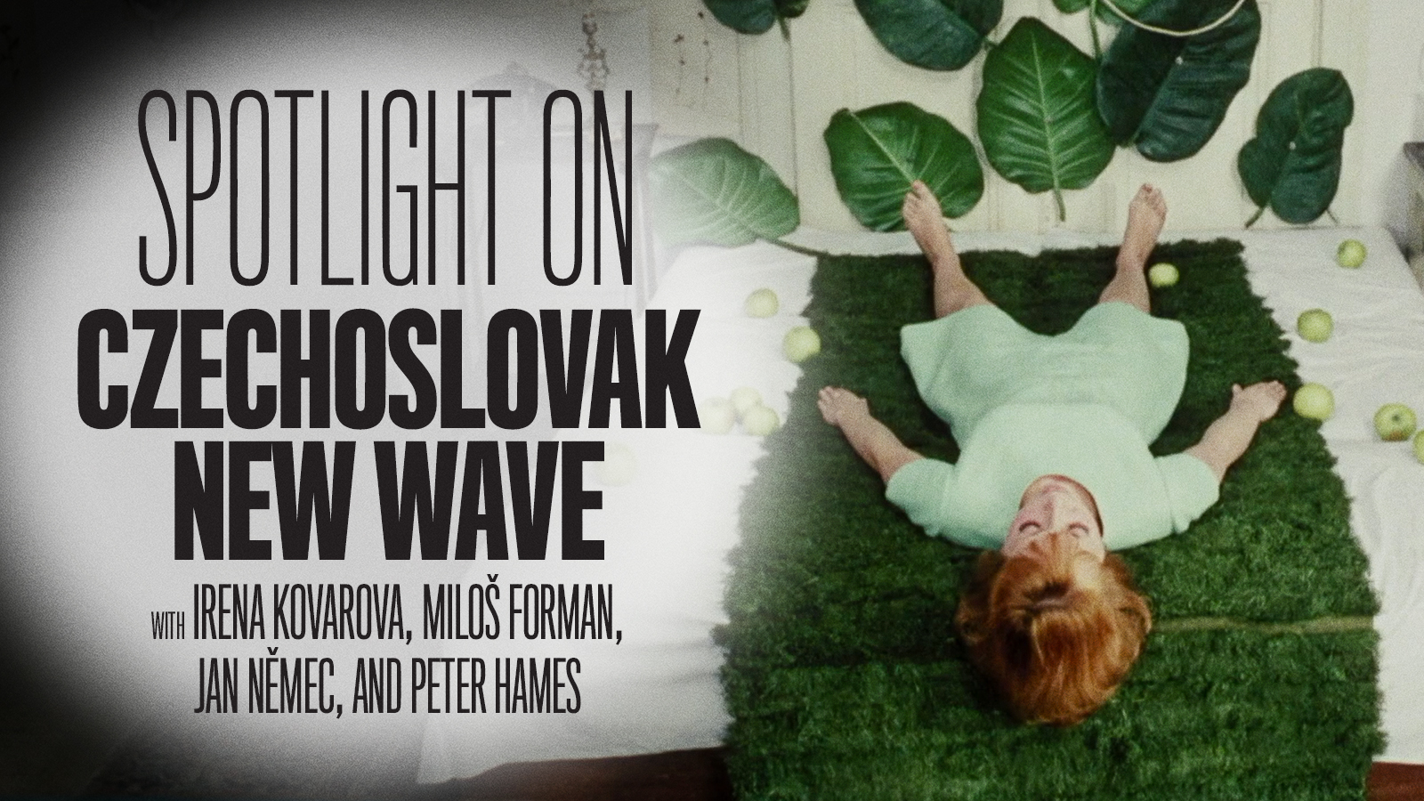 Spotlight on the Czechoslovak New Wave 