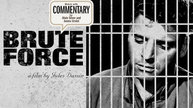 BRUTE FORCE Commentary