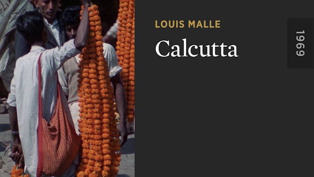 Calcutta - The Criterion Channel