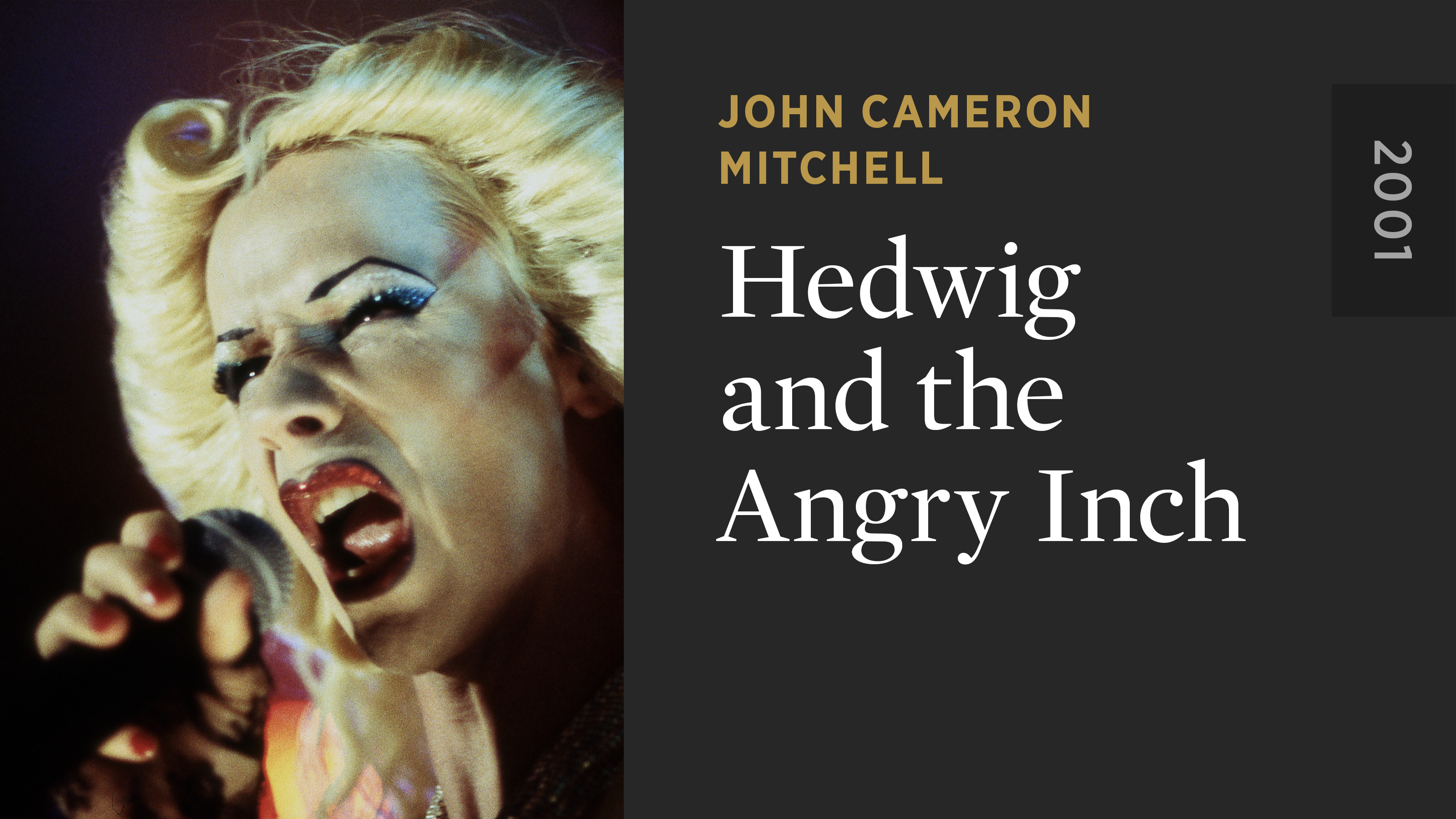 HEDWIG AND THE ANGRY INCH　大判ポスター Hedwig and the Angry Inch (2001) Original Movie Posters