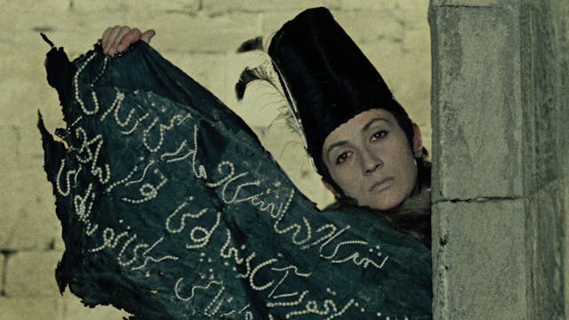 Decoding THE COLOR OF POMEGRANATES