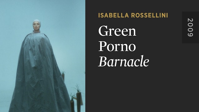 GREEN PORNO: Barnacle