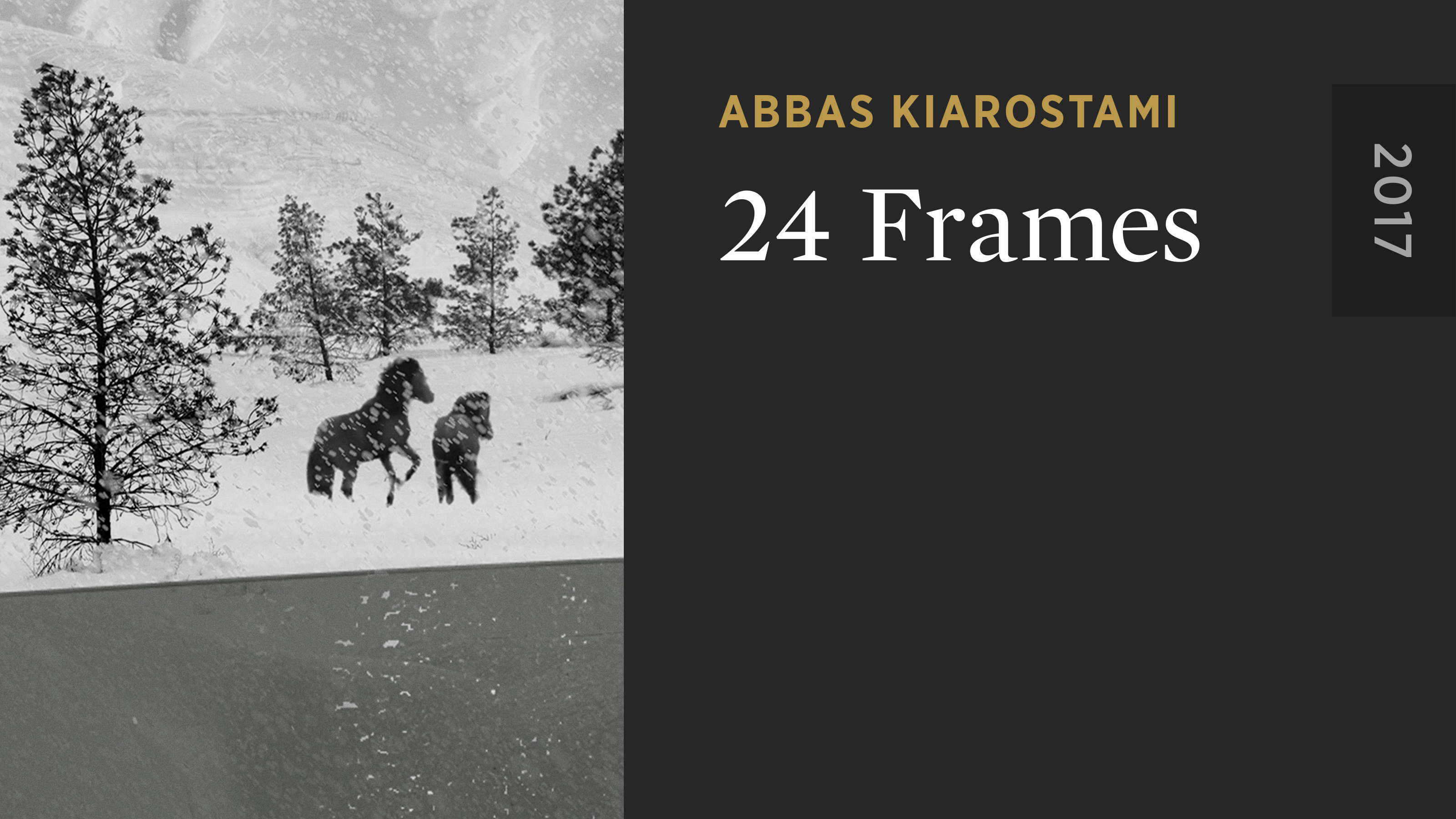 24 Frames The Criterion Channel