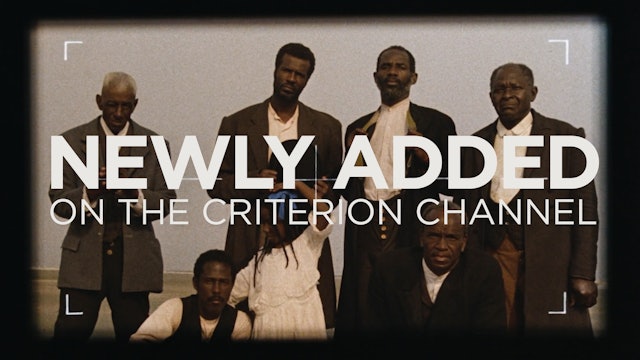 Newly Added - The Criterion Channel